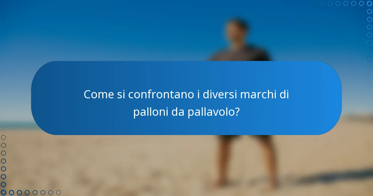 Come si confrontano i diversi marchi di palloni da pallavolo?