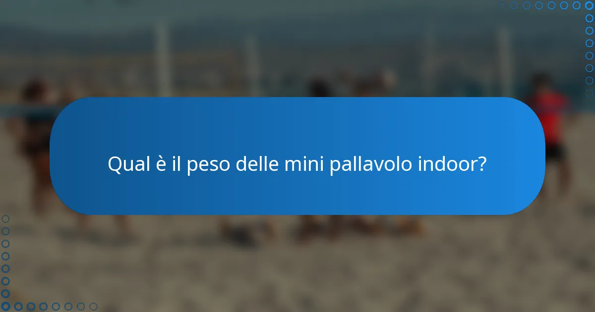 Qual è il peso delle mini pallavolo indoor?