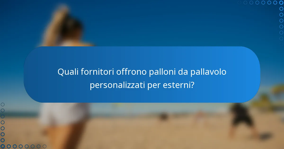 Quali fornitori offrono palloni da pallavolo personalizzati per esterni?