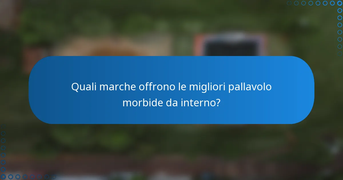 Quali marche offrono le migliori pallavolo morbide da interno?