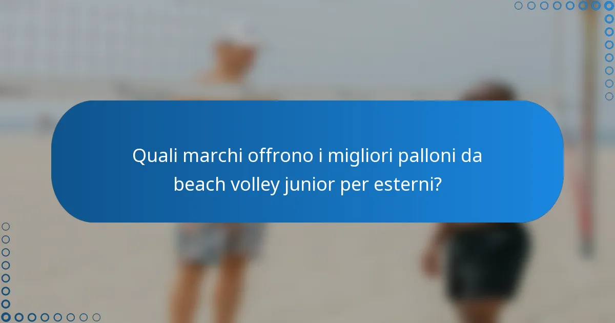 Quali marchi offrono i migliori palloni da beach volley junior per esterni?