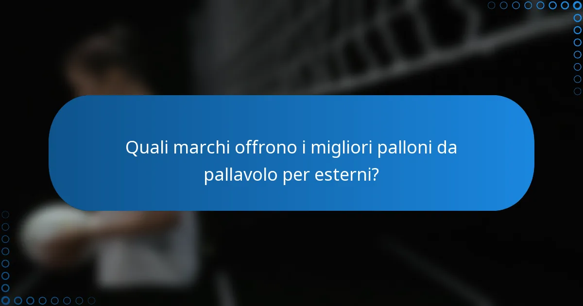 Quali marchi offrono i migliori palloni da pallavolo per esterni?