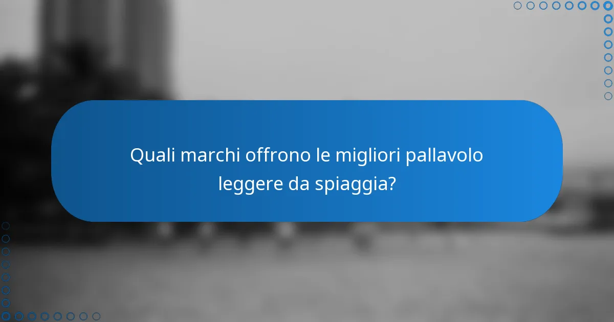 Quali marchi offrono le migliori pallavolo leggere da spiaggia?