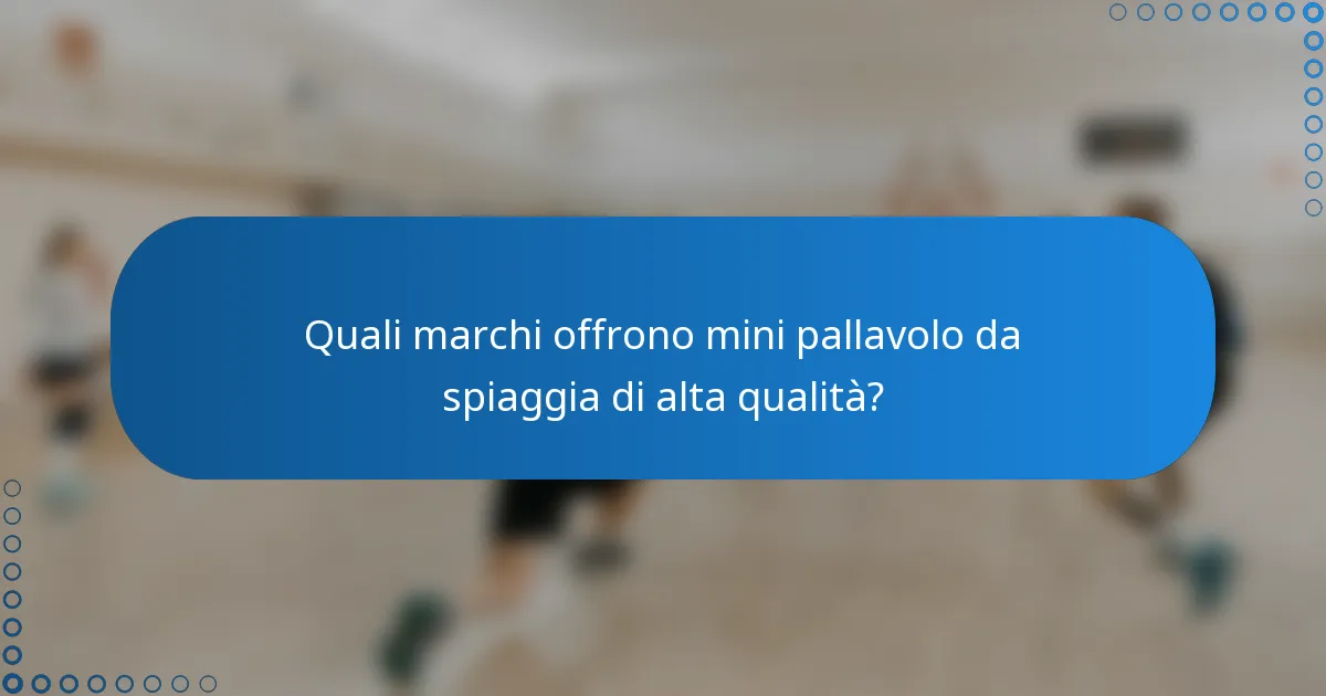 Quali marchi offrono mini pallavolo da spiaggia di alta qualità?