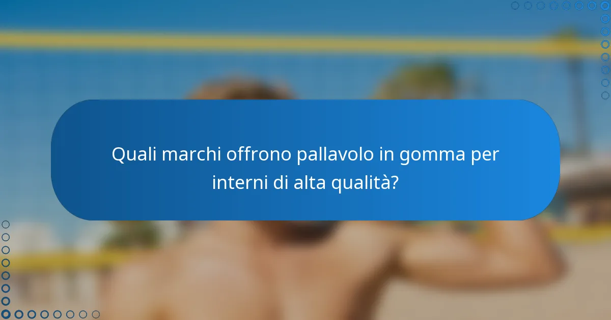 Quali marchi offrono pallavolo in gomma per interni di alta qualità?