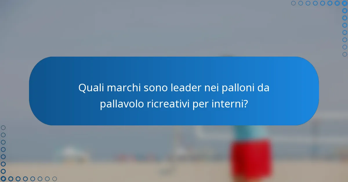 Quali marchi sono leader nei palloni da pallavolo ricreativi per interni?