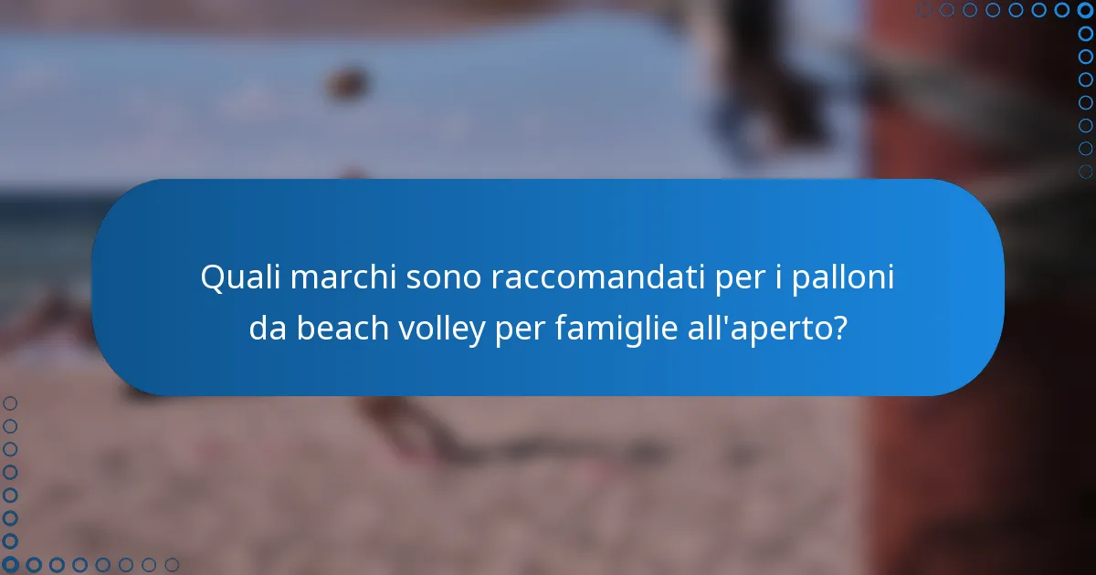 Quali marchi sono raccomandati per i palloni da beach volley per famiglie all'aperto?
