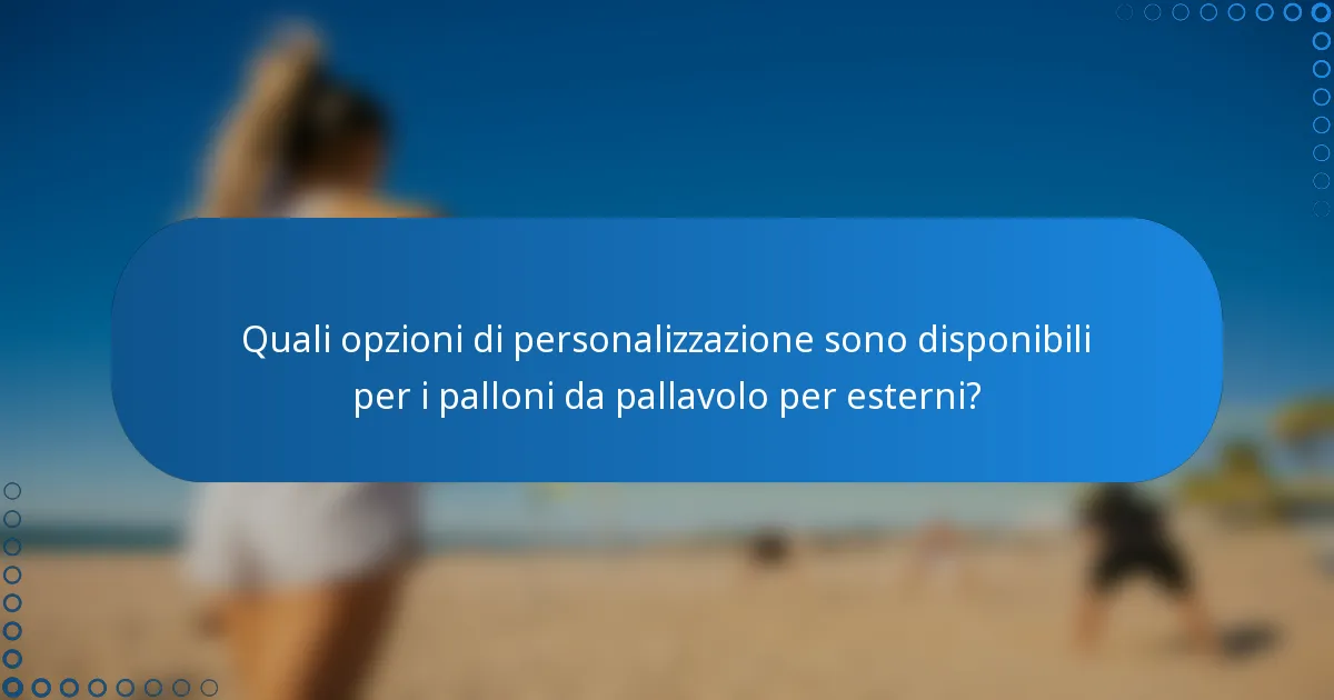 Quali opzioni di personalizzazione sono disponibili per i palloni da pallavolo per esterni?