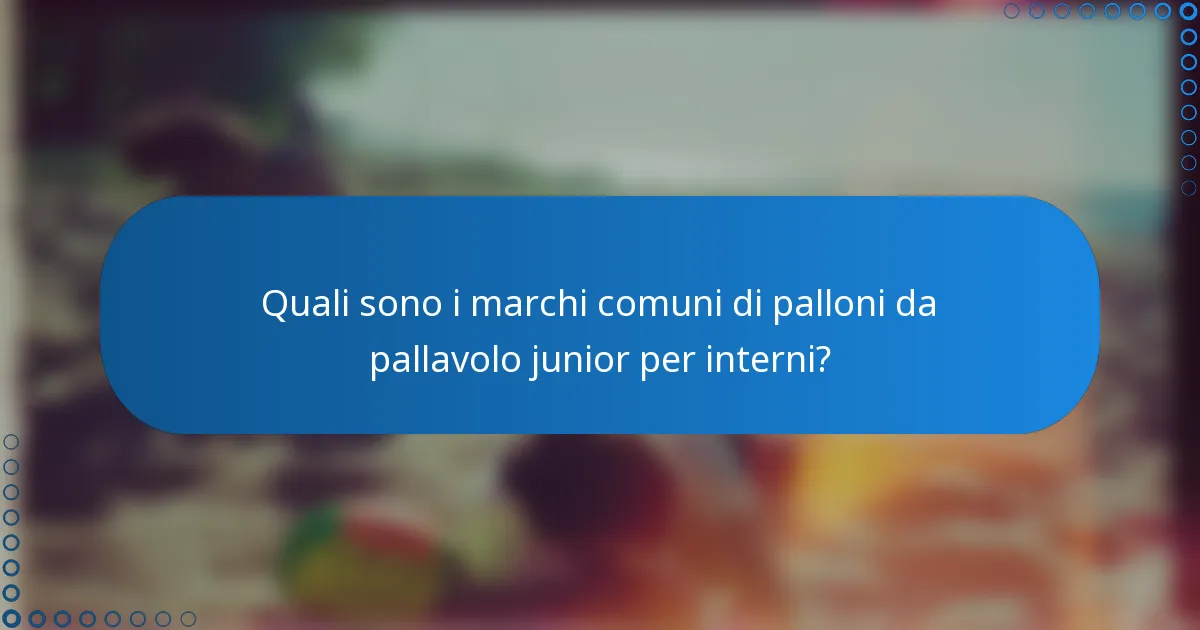 Quali sono i marchi comuni di palloni da pallavolo junior per interni?